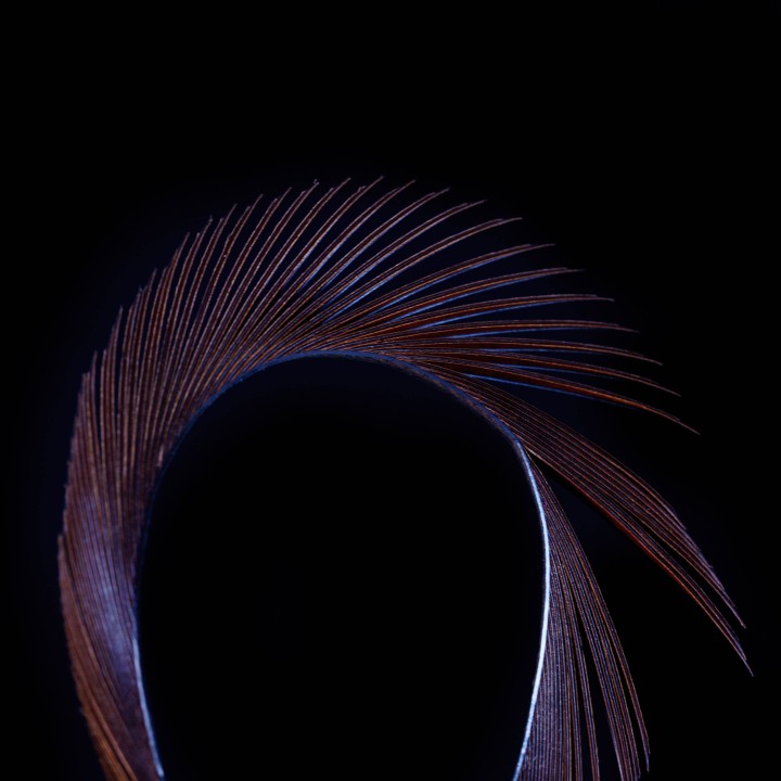 Stripped Goose Biots Brown